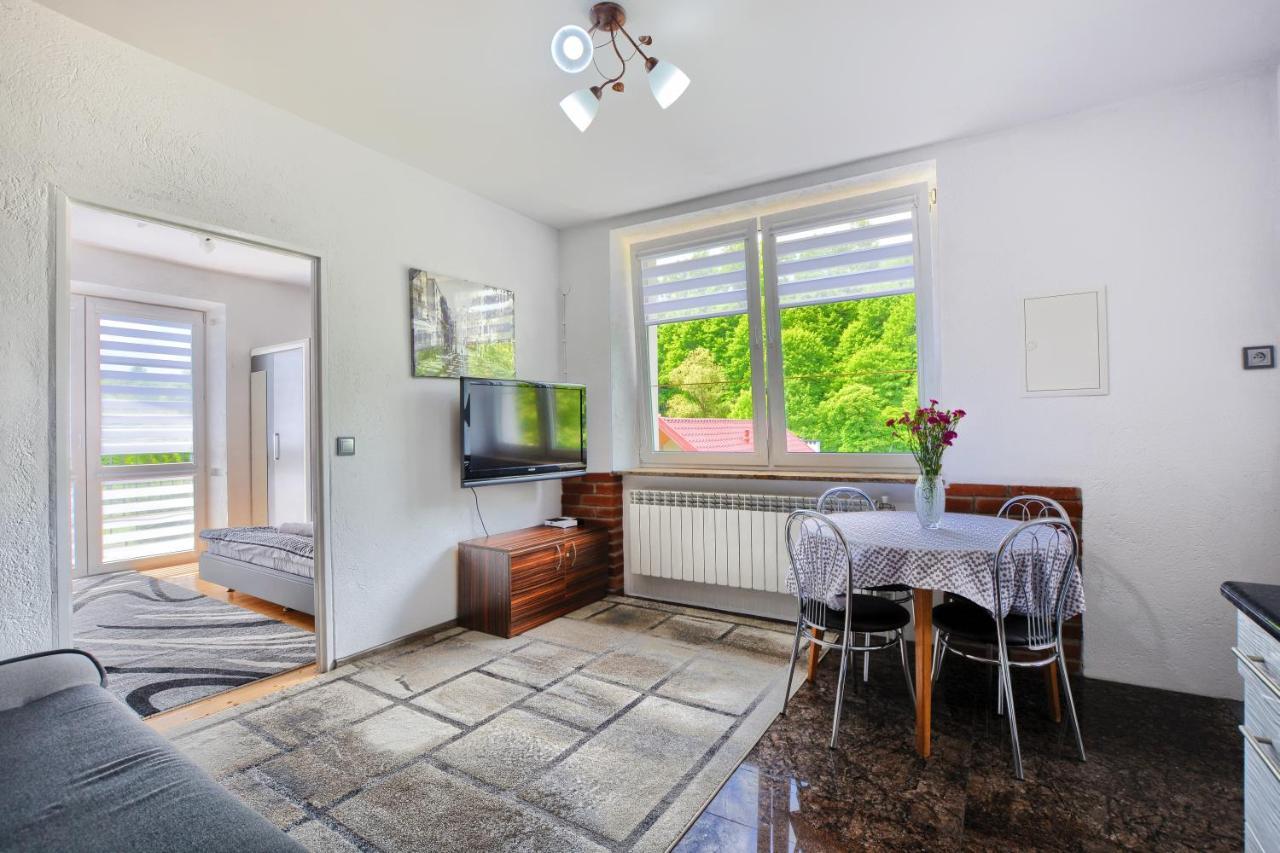 Ceglany Apartament Ustrzyki Dolne Extérieur photo